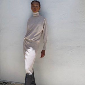 Babaton (Aritzia). Bogart Dress. Turtleneck sweater dress. Sm. Perfect Condition